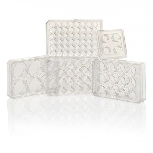 Nunc™ Cell-Culture Treated 4 well plates